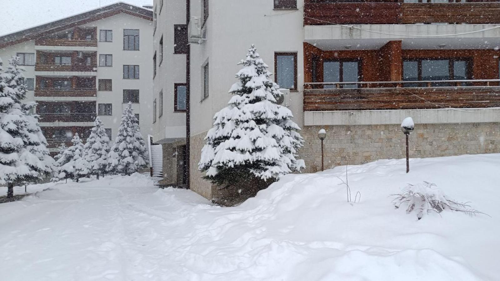 Studio Detelina Residence Banszko Kültér fotó