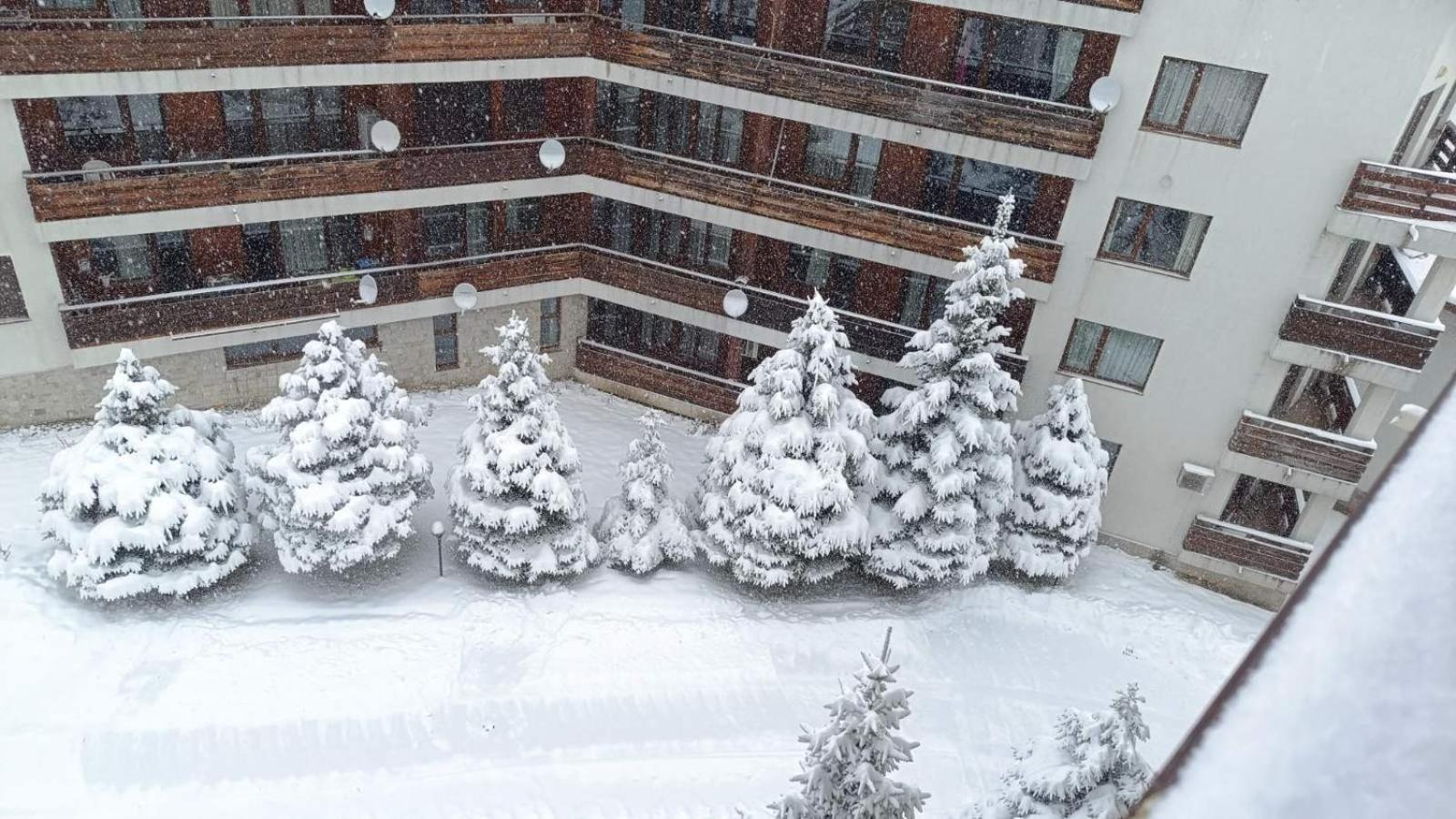 Studio Detelina Residence Banszko Kültér fotó